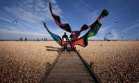 Get active on the coast in Kent, Garden of England
