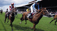 Horse racing fan? Irish Ferries break to Irish Derby at the Curragh