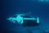 Lotus Esprit Series 1 ‘Submarine’ Car