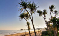 The flags are out for the Isle of Wight's beaches