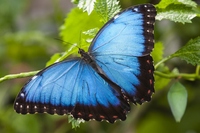 Stunning photographic exhibition on display at the Stratford Butterfly Farm