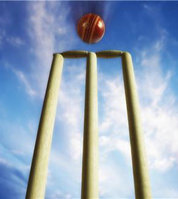 Cricket wickets