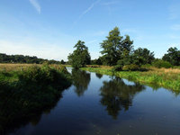 A family holiday afloat in leafy Surrey