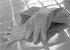 Rubber gloves