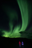 Experience the Northern Lights in the Yukon