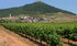 Rioja Region