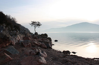 Fun-filled Loch Ness tour offers more than just monsters