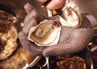 Oyster Shucking