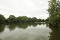Westerleigh Pond