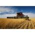 Harvester