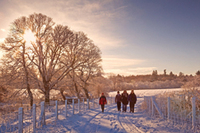 Christmas walking