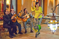 Flamenca & Torero Courses a la Carte