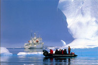 Aurora Expeditions offer snorkelling in Antarctica