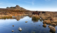 New moorland walk for Sherlock fans