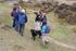 Enjoy a guided walk in the New Forest