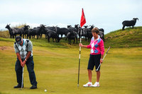 Greener greens for Scotland's golf courses