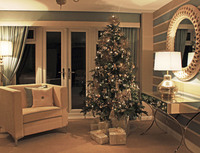Move in to your new home for Christmas with David Wilson Homes