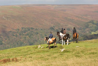 Horseback Safari