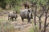 Horseback safari, South Africa