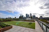 New phase of homes launched in popular Poplar