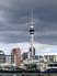 Auckland, New Zealand, Anglo Pacific