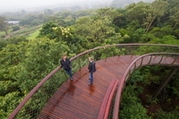 Kirstenbosch Botanical Garden's "Boomslang" is unleashed