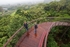 View from the Boomslang