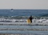 Surf