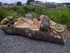 The dormouse bench