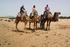 Enjoy a camel ride on the beach!