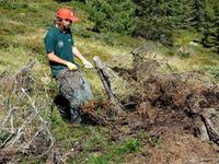 A different type of holiday - Volunteering in the Austrian Tirol