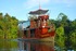 Cattleya Amazon Riverboat