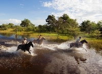 See the Okavango Delta from a whole new perspective