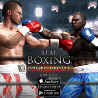 Real Boxing