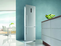 Gorenje IonGeneration fridge freezer