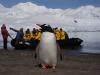 Quark Antarctica