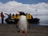 Quark Antarctica