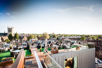 Rooftop garden