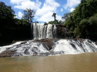 Remote Cambodia: Forest and Tribes