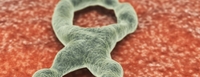 Ebola vaccine trials fast-tracked by international consortium