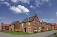 Need a new home to hibernate in this autumn? Move in before the dark nights arrive