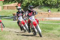 Honda in action at the Goodwood Festival of Speed