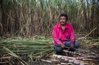 Consumers and retailers urged to stick with Fairtrade sugar