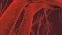 Researchers use simple chemicals to minimise organ damage following heart attack and stroke