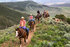 Horse trekking