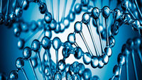 New genetics study identifies possible target for epilepsy treatment