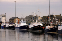 Boats in Amble Harbour