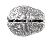 New images of the brain show the forgetful side effect of frequent recall