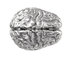The brain