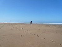 Sidi Kaouki Beach - Morocco’s best kept secret